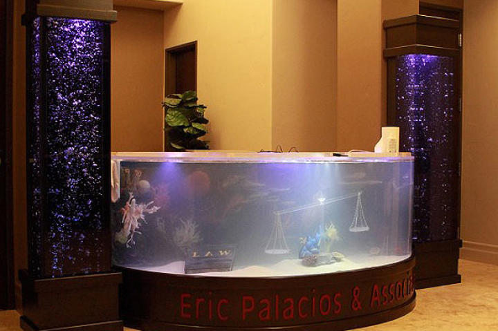 The shark tank after!