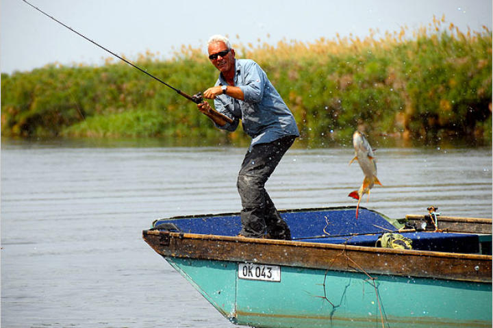 African tigerfish