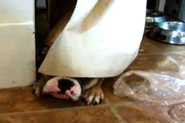 Roxy tries to hide.