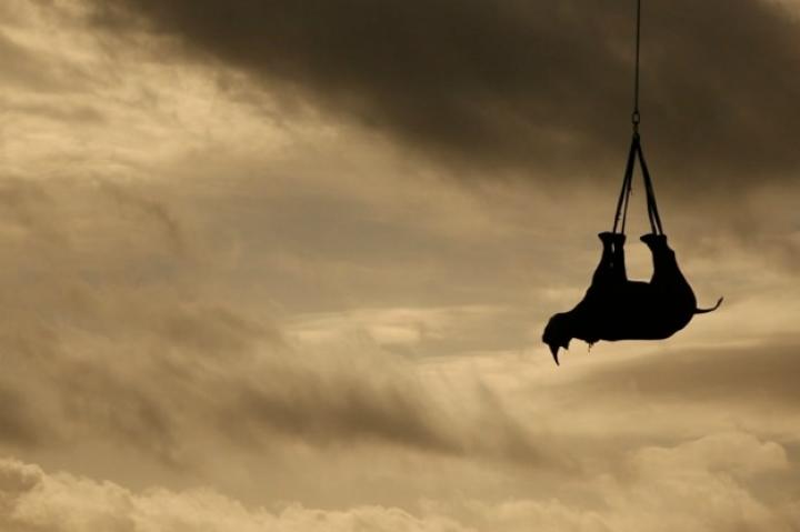 Photos by Green Renaissance/WWF