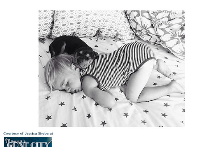 When the family went to adopt a puppy, Theo (who was named Big Bird at the time) climbed right into Beau's lap. Must have been love at first sight!