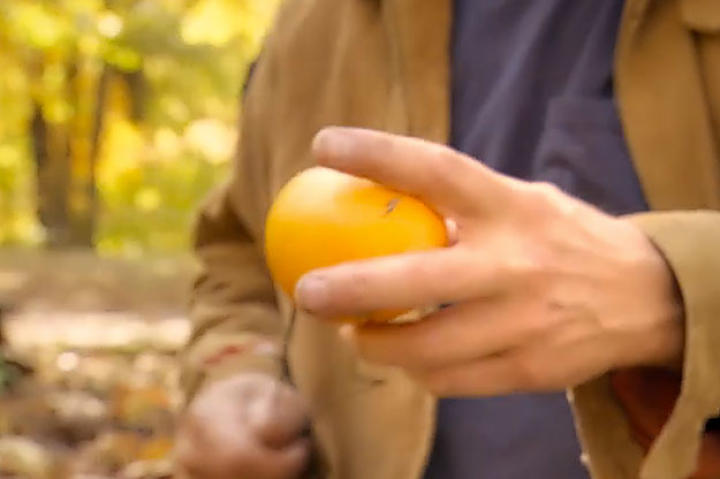 Take your long wire and poke it on through the orange, clean to the other side ...