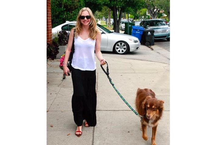Celebrities really are just like us because they love animals too! We found some of the cutest pooches palling around with their celebrity owners and animal-loving friends and wanted to share them with you.
Amanda Seyfried
Actress Amanda Seyfried takes a stroll in Los Angeles with her dog, Finn.
Jean Baptiste Lacroix/WireImage
