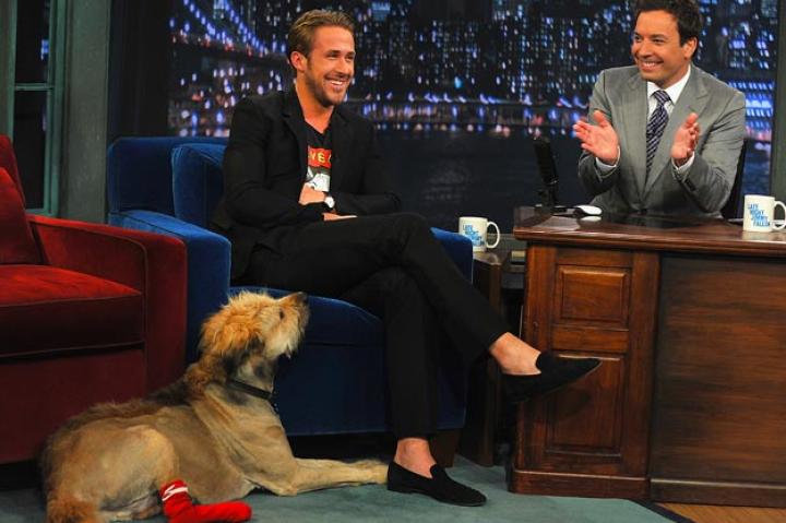 Ryan Gosling
Actor Ryan Gosling made an appearance "Late Night with Jimmy Fallon" with his dog George.
Theo Wargo/Getty Images