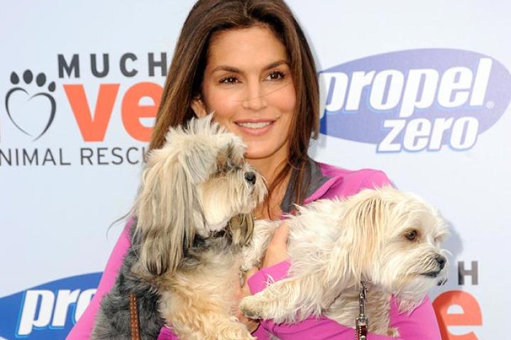 Cindy Crawford
Cindy Crawford hosts the Propel Zero to 1000 Celebrity Dog Walking Event at Church Estate Vineyards in Malibu, California.
RD / Kenney /Retna Ltd./Corbis