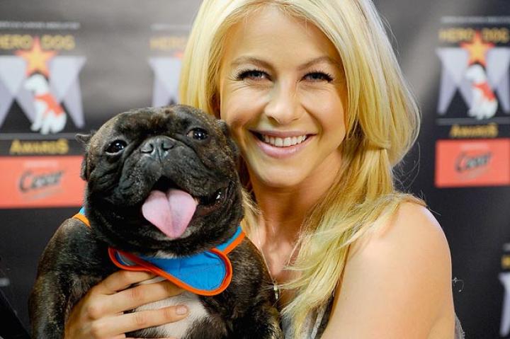 Julianne Hough
Julianne Hough poses with therapy dog Yazhi while she attends the kick-off voting campaign for America's First Ever National "Hero Dog Awards."
Jamie McCarthy/WireImage/Getty Images