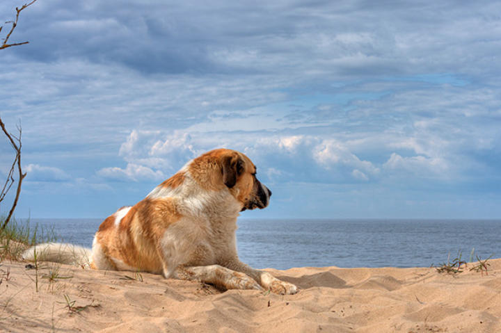 No more lazing away on the beach, watching the waves roll in ...