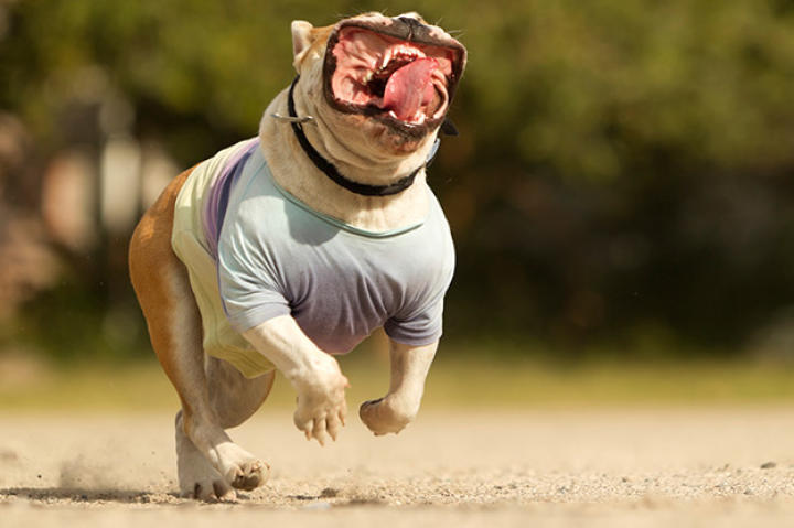 You go, grrrrl!