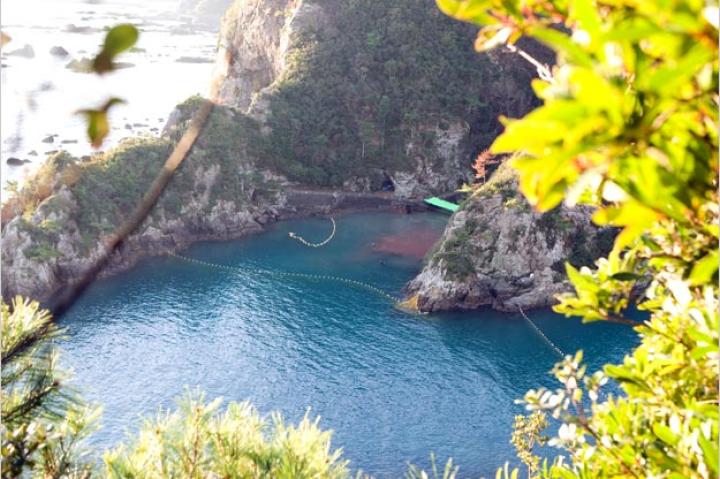 A view of the cove in Taiji, Japan. Fishermen in this town regularly conduct dolphin hunts from September to March when dolphins migrate to the area.