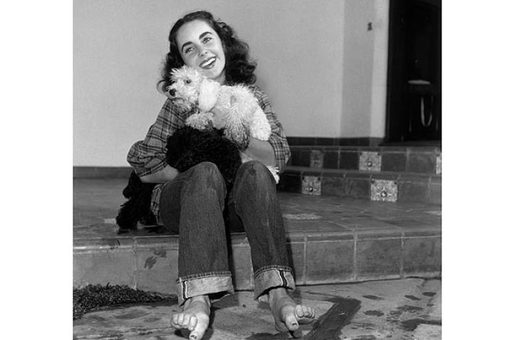 British-born actor Elizabeth Taylor, wearing a plaid shirt and jeans rolled up at the cuff with bare feet, holding a poodle and smiling, circa 1947