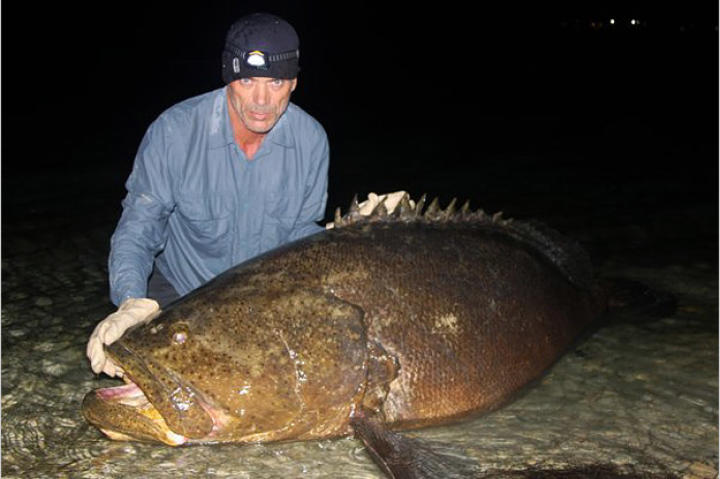 Jeremy Wade holds a goliath grouper that he caught in a Florida channel while fishing for bull shark.