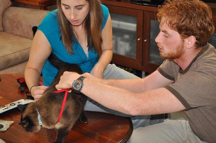 Amanda and Matt putting walking harness on.