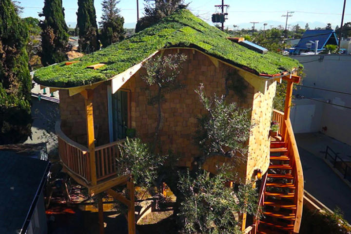 Treehouse Masters, Irish Cottage, Huntington Beach, CA