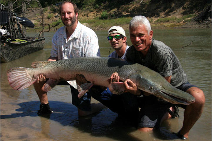 Jeremy Wade holds a nearly 7-feet-long, 111-pound alligator gar with Mark Spitzer and guide Bubba Bedre.