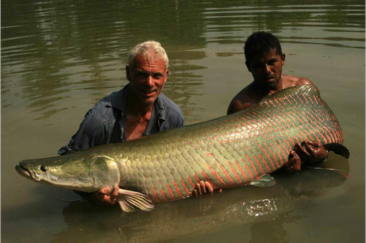 Jeremy Wade with a 150-pound arapaima.