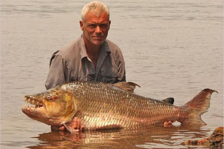 Jeremy Wade with a goliath tigerfish, a giant-sized relative of the piranha and one of the hardest freshwater fish in the world to hook and land
