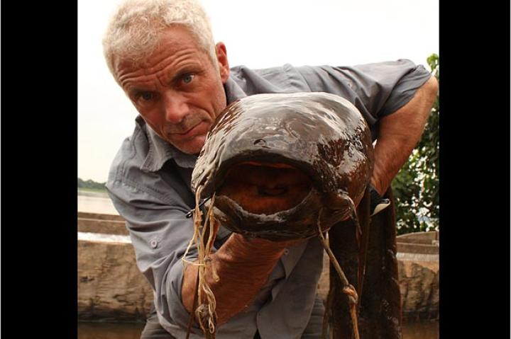 Kamba Catfish & Vundu Catfish Photos | River Monsters | Animal Planet