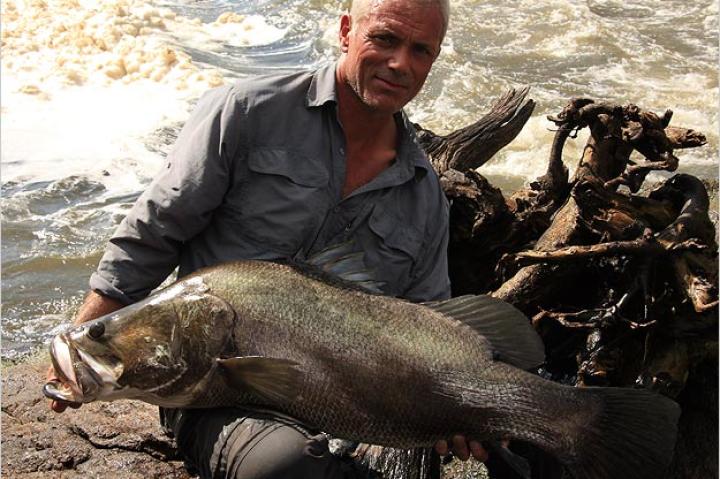 It's said that the Nile perch is a relatively easy catch. It's a strong fish, but the smaller specimens can be captured with relatively lightweight tackle.