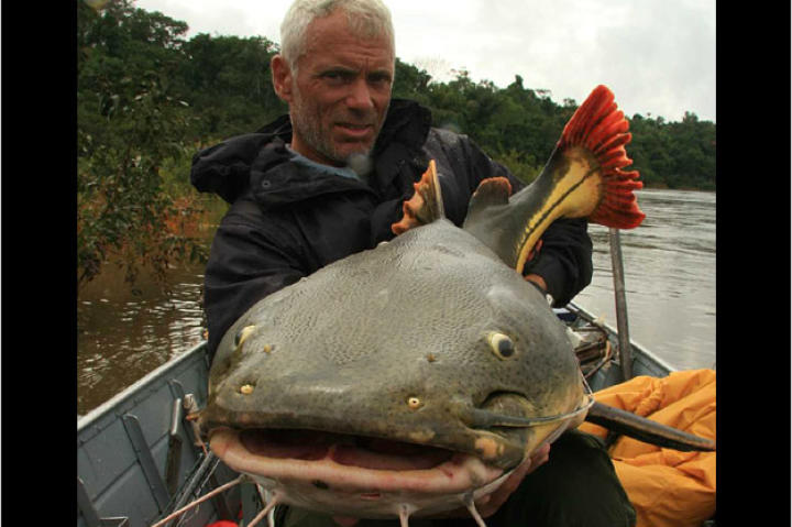 Jeremy Wade with a red-tailed catfish. This fish has a wide mouth with grasping pads for holding prey. Catfish lack sharp teeth because they swallow their prey whole.
