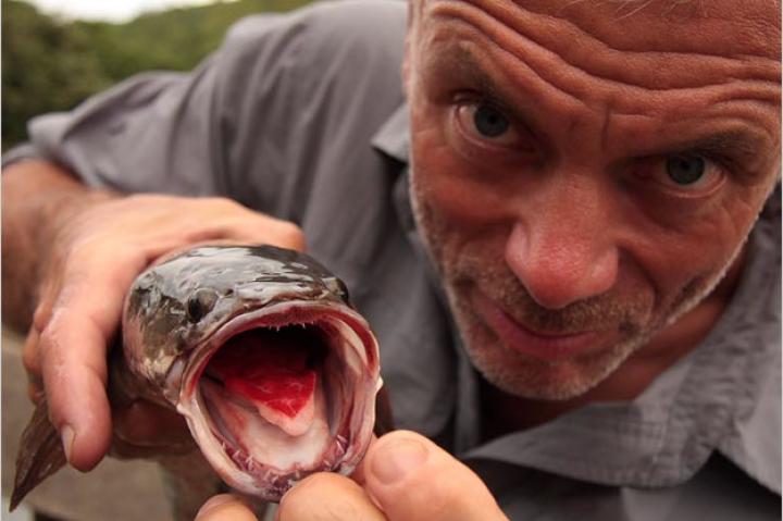 Jeremy Wade with a bullseye snakehead, or great snakehead. Jeremy caught this South Asian native in Florida in the United States, where the snakehead is a relatively new — and potentially very destructive — invasive species.