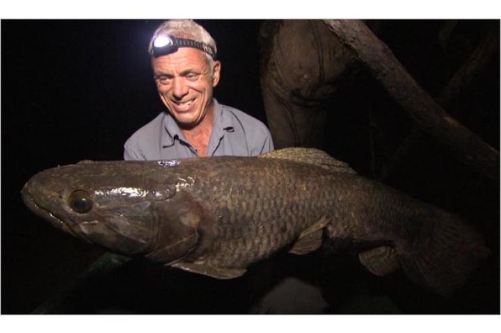 Jeremy Wade with a wolf fish. This fish's most distinguishing feature is its extensive set of teeth. Not only does the wolf fish have multiple rows of teeth lining its jaws, but its throat is also covered with serrated teeth..