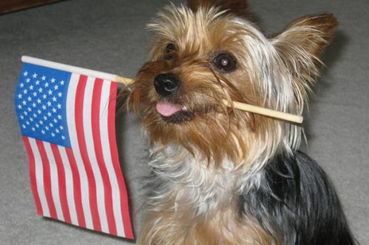 Maya: Submitted by Lori