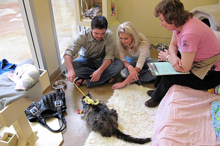 A Meet Your Match worker with potential adopters.
