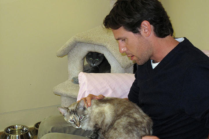 John hangs out with two cats while on the road during filming.