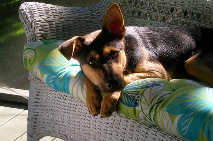 Maxin' and Relaxin': Submitted by 3daygirl
