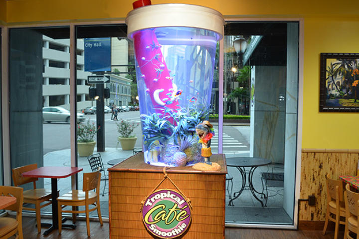 Tropical Smoothie Tank