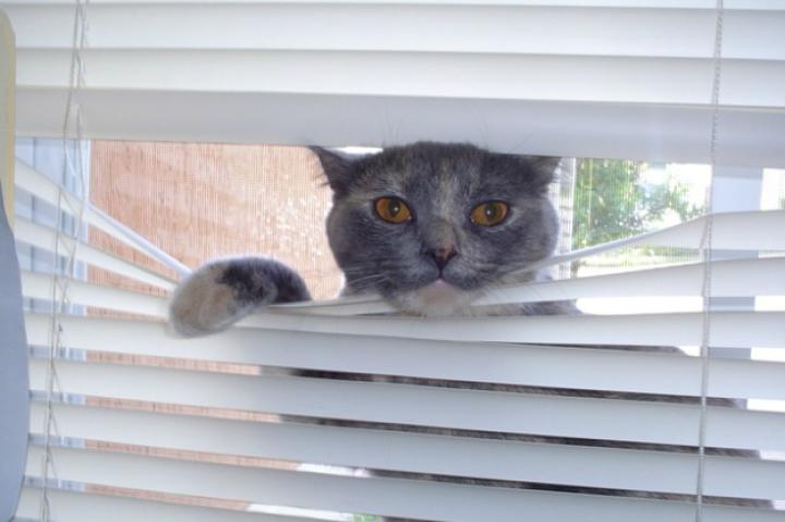 18: This Would Be Creepy if I Wasn't So Cute