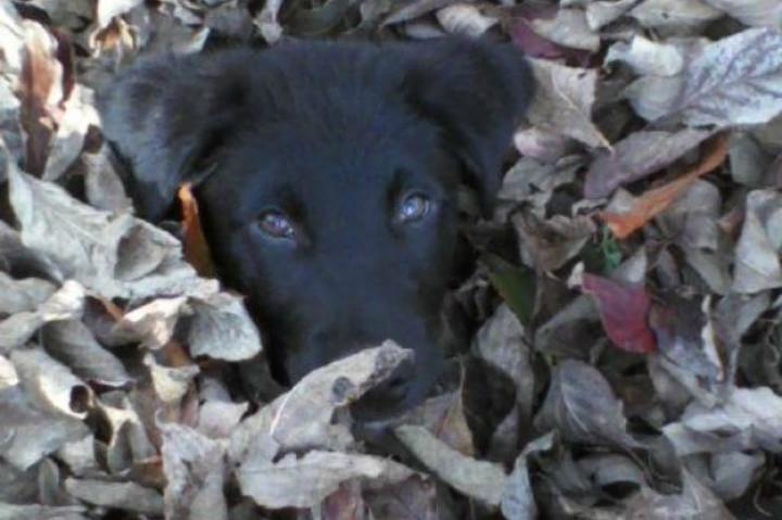 17: I Think I Need Some Better Camouflage