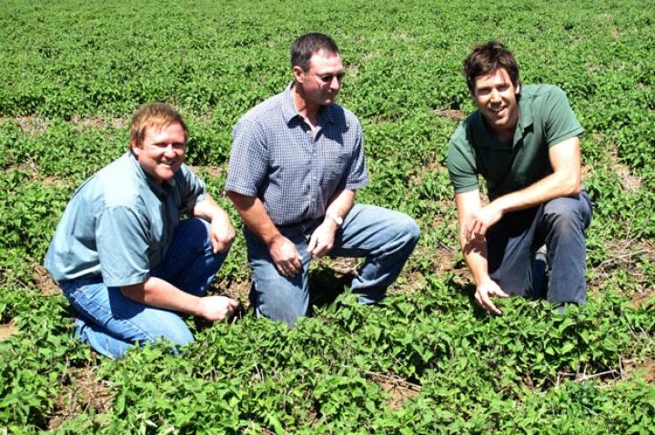 John Fulton with farm managers in catnip field