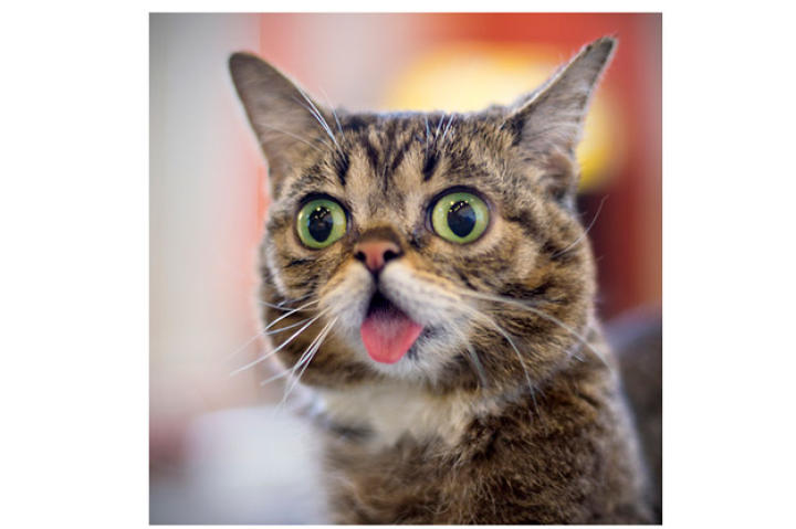 bub-03-625x450