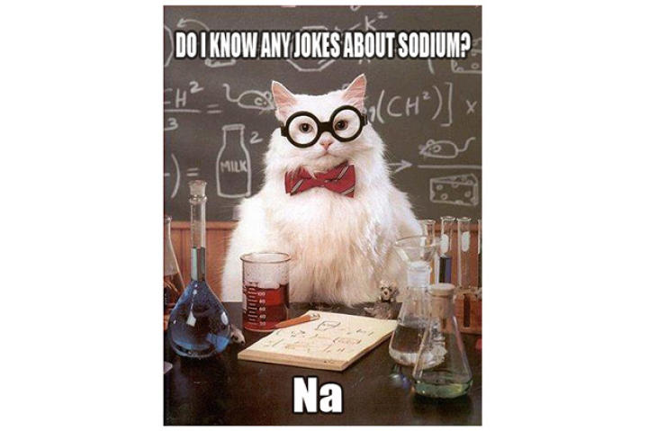 chemistry-cat-02-625x450