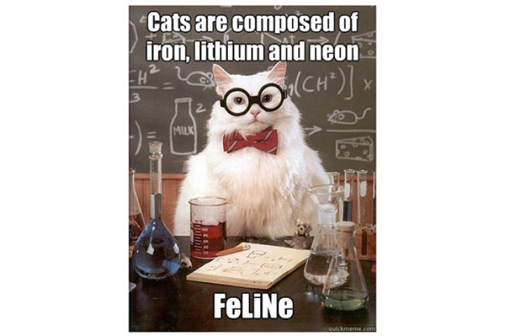 chemistry-cat-04-625x450