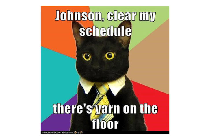 clear-my-schedule