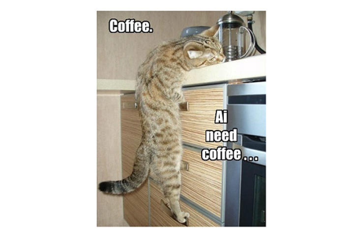 coffee-cat
