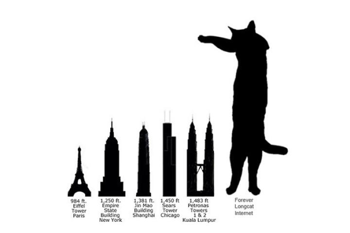 comparison-to-landmarks
