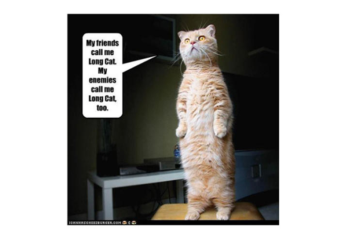 friends-and-enemies