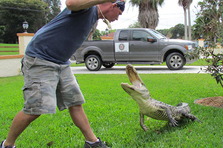 gator-boys-ep202_005