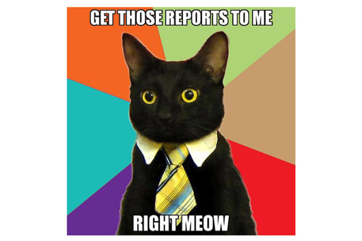 get-those-reports-to-me