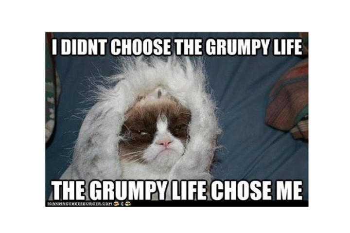 grumpy-life