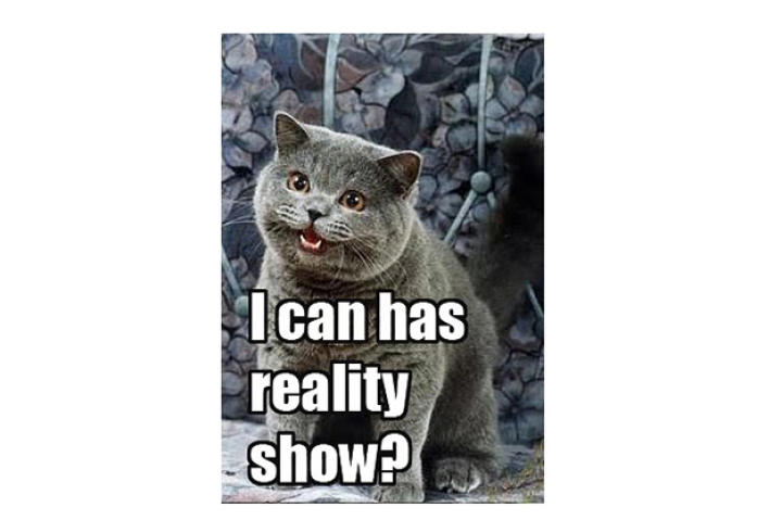 happycatbravoreality