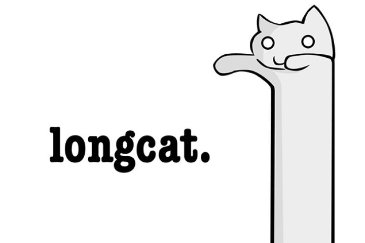 longcat plush