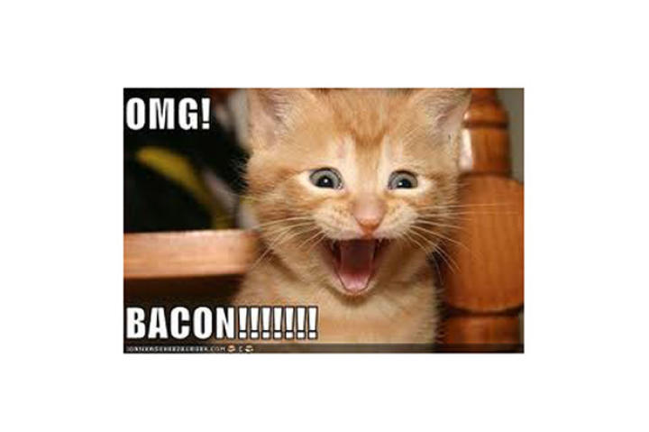 omg-bacon
