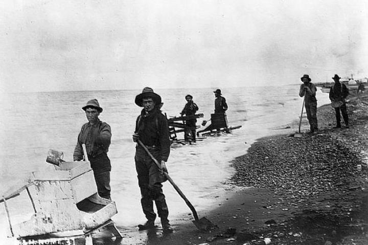 Miners with simple shakers and box sluices work the beaches that are still yielding good gold. One of the biggest challenges now was hanging on to beach claims since tides and storms made boundaries almost meaningless. One miner of the time remembered that on sunny days, miners crowded the coast almost elbow to elbow for thousands of yards in both directions.