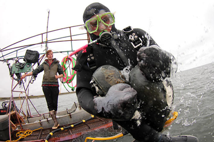 Zeke Tenhoff does a cannonball to get things started. Check out the cool jury-rigged steering controls next to Emily.