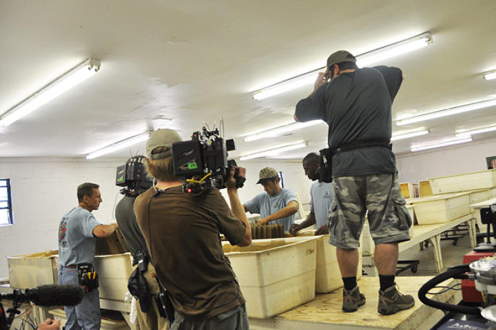 Doug Glover, Troy Paff and Dave Barsky all capture the action as James and Bill from Ghann's Crickets show Mike Rowe how to ... do something with crickets.