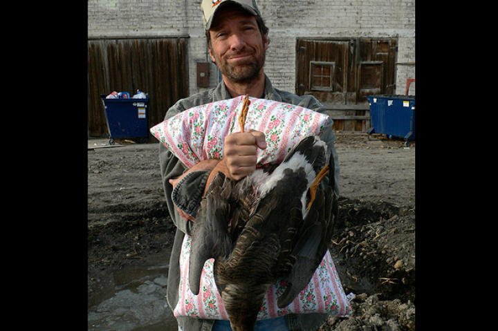 Next time you curl up with your goose-down pillow and comforter, imagine Mike Rowe pluck-pluck-plucking away.